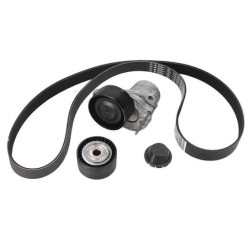 Renault DAYCO V Kayis Seti 117209256R TRAFIC III VIVARO