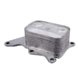 ASPART YAĞ SOĞUTUCUSU B37 38 F20 21 45 46 48 MOTOR 11428585236ASP ASPART YAĞ SOĞUTUCUSU B37 38 F20 21 45 46 48 MOTOR 11428585236ASP