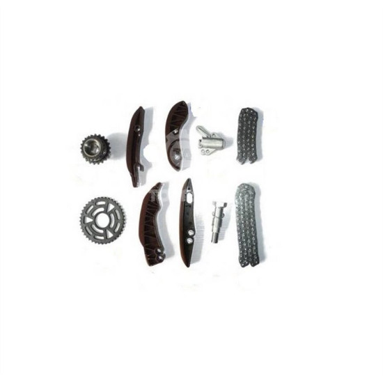 Bmw BSG Eksantrik Zincir Seti 13522247193 E46 E39 Bmw BSG Eksantrik Zincir Seti 13522247193 E46 E39 yedek parça