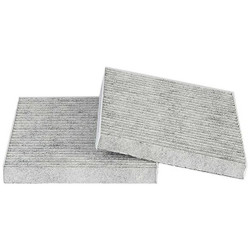 Bmw BSG Polen Filtresi 64319312318 X3 F25 X4