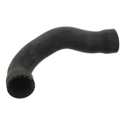 Bmw BSG Radyator Hortumu Ust 11531720720 E36