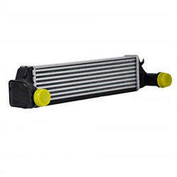 Bmw BSG Turbo Radyatoru 17512246795 E46