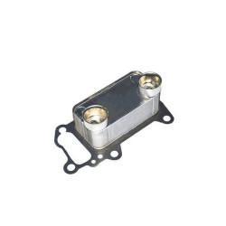Bmw BSG Yag Radyatoru 11427802113 E81 E82 E87 Bmw BSG Yag Radyatoru 11427802113 E81 E82 E87