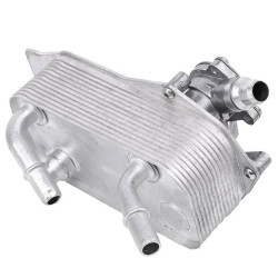Bmw BSG Yag Radyatoru 17217529499 E81 E82 E87 Bmw BSG Yag Radyatoru 17217529499 E81 E82 E87