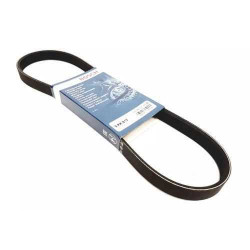 BOSCH 5PK813 Kayış 5PK813BOSCH