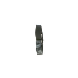 BOSCH V Kayışı PQS500221 RANGE ROVER