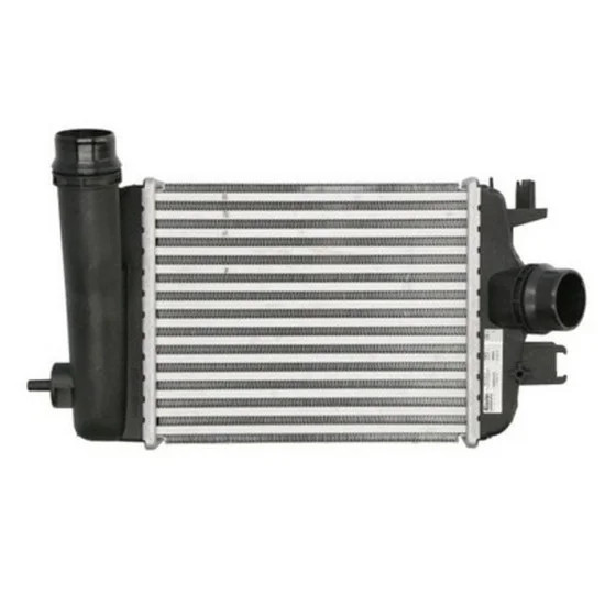 Dacia BSG Turbo Radyatoru 144966668R CLIO V DUSTER yedek parça