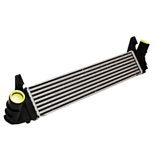 Dacia BSG Turbo Radyatoru 8200409045 DUSTER yedek parça