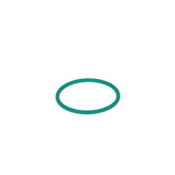 Mercedes BOSCH Oring A0219979745