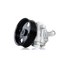 Mercedes BSG Direksiyon Pompasi A0044668301 164 251