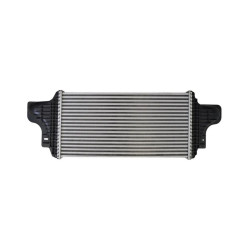 Mercedes BSG Turbo Radyatoru A1645000000 164