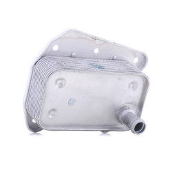 Mercedes BSG Yag Sogutucu Radyatorleri A6481880001 203 211 220