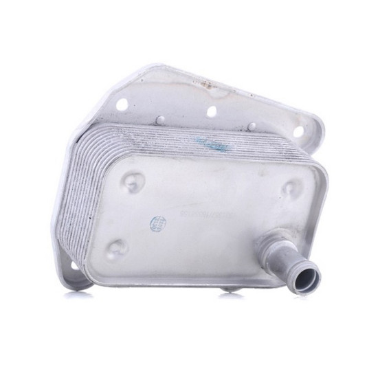 Mercedes BSG Yag Sogutucu Radyatorleri A6481880001 203 211 220 Mercedes BSG Yag Sogutucu Radyatorleri A6481880001 203 211 220 yedek parça
