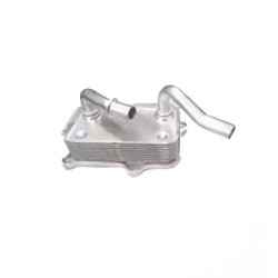 Mercedes BSG Yag Sogutucu Radyatoru A1121880401 W163 220 211