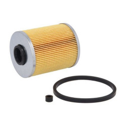 Renault BLUE PRINT Yakit Filtresi 7701475229 MASTER II III