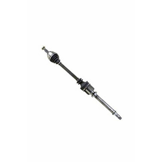 Renault BSG Aks Kafasi Dis 391008976R FLUENCE yedek parça