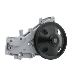 Renault BSG Devirdaim 7701462491 R9 R19