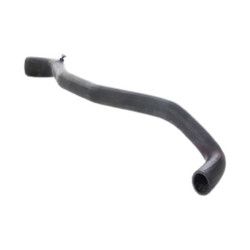 Renault BSG Kalorifer Hortumu Giris 7700417717 LAGUNA I