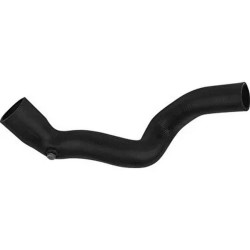 Renault BSG Radyator Hortumu Ust 7702253168 R19