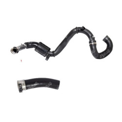 Renault BSG Turbo Hortumu 144602126R TRAFIC Renault BSG Turbo Hortumu 144602126R TRAFIC
