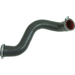 Renault BSG Turbo Hortumu 8200306925 MEGANE II SCENIC