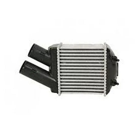 Renault BSG Turbo Radyatoru 8200047162 MEGANE I yedek parça