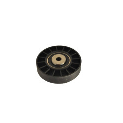 Renault BSG V Kayis Gergi Rulmani 7700869684 CLIO KANGOO