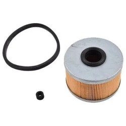 Renault BSG Yakit Filtresi 7701043620 KANGO CLIO