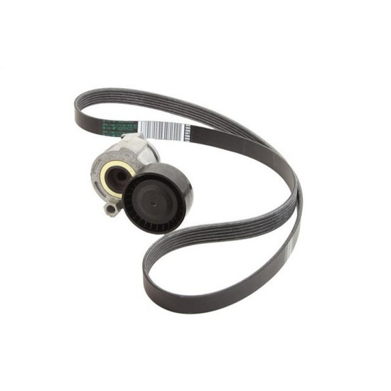 Dacia CONTITECH V Kayis Seti 117203694R CLIO IV MEGAN yedek parça
