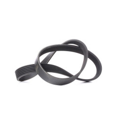 Renault CONTITECH V Kayisi A0029934896 RENAULT