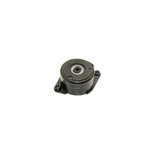 Bmw DAYCO V Kayis Gergi Rulmani 11282354130 E46 39 38 Bmw DAYCO V Kayis Gergi Rulmani 11282354130 E46 39 38 yedek parça