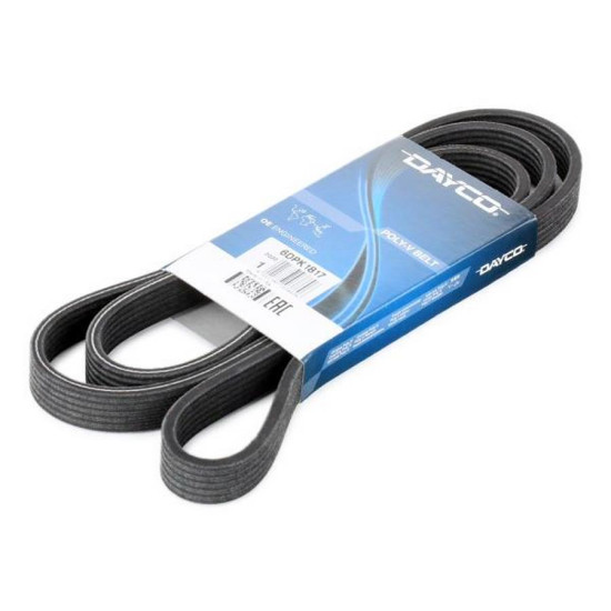 Bmw DAYCO V Kayisi 11288574958 E81 E82 E87 Bmw DAYCO V Kayisi 11288574958 E81 E82 E87 yedek parça