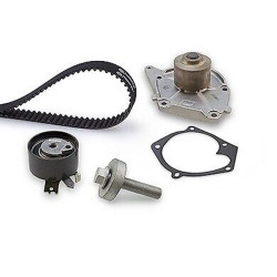 Dacia DAYCO Triger Seti+Devirdaim 119A02421R CLIO KANGO MEGAN