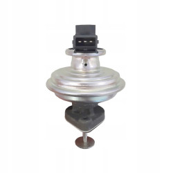 DELPHI Egr Valfi 11717801942 E81 E87 E90 E91 E92 E93 E60 LCI E61 LCI X3 E83 LCI