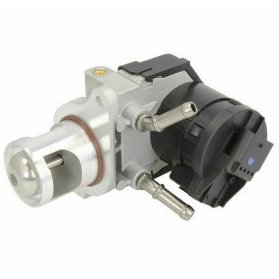 DELPHI Egr Valfi 11717810871 E81 E82 E87 E88 E90 E91 E92 E93 F20 F21 F22 F23 F30 F31 F34 4F32 F33 F36 E60 E61 F06 F07 F10 F11 F12 F13 F01 F02 X1 E84 yedek parça