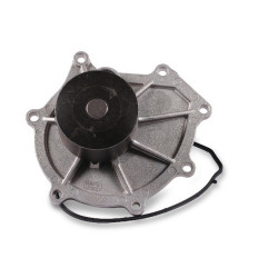 Land Rover DAYCO Devirdaim PEB102240 FREELANDER 1