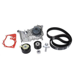 Renault DAYCO Triger Seti+Devirdaim 119A00397R MEGAN K4M K7J