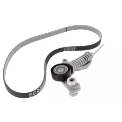 Volvo DAYCO V Kayis Seti 31480362* S60 S80 S90