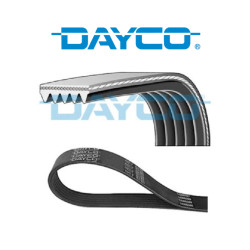Volvo DAYCO V Kayisi DAY 5PK1010