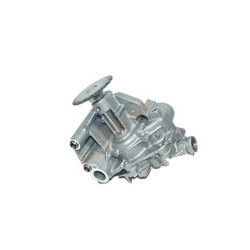 Eltaoring Yag Pompası Master Iıı 150003601R M11703601E