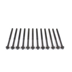Volvo ELRING Silindir Kapak Saplamasi Set 9497825 VOLVO S40 S60 Volvo ELRING Silindir Kapak Saplamasi Set 9497825 VOLVO S40 S60