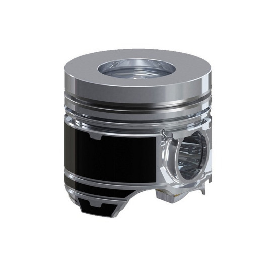 FEDERAL Piston + Segman A6160303817 MB.207.D yedek parça
