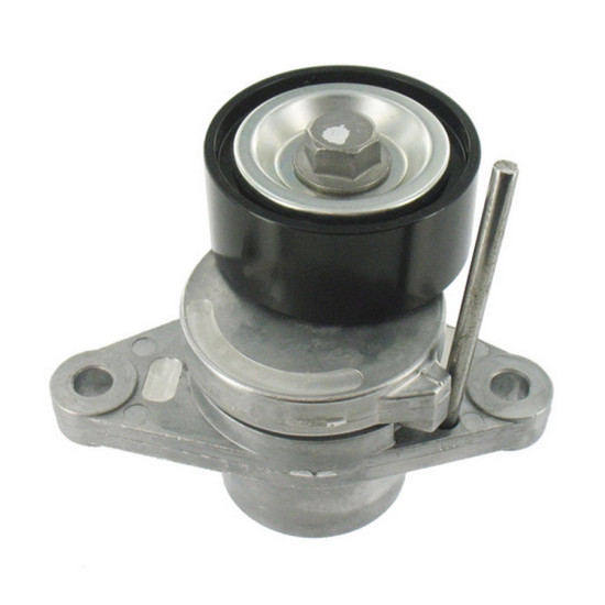 Dacia GMB V Kayis Gergisi Komple 117502781R LAGUNA III DUSTER yedek parça