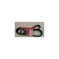 Laguna 3 - III Alternatör V Kayış 8200356446 Laguna 3 - III Alternatör V Kayış 8200356446