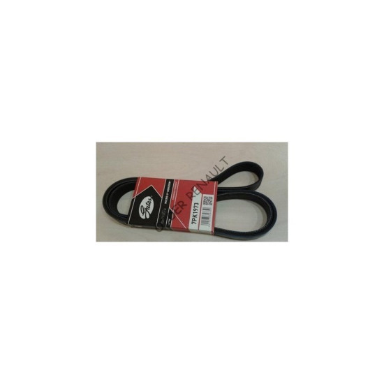 Laguna 3 - III Alternatör V Kayış 8200356446 Laguna 3 - III Alternatör V Kayış 8200356446 yedek parça