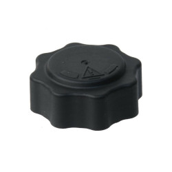 Land Rover GATES Radyator Kapagi 17107515499 MINI R50 R52