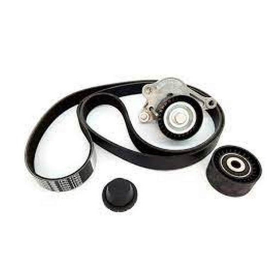Renault GATES V Kayis Seti 7701476644 LAGUNA II MEGAN yedek parça