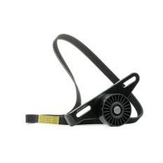 Renault GATES V Kayis Seti 7701477522 CLIO KANGOO yedek parça