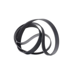 Renault GATES V Kayisi 8200356445 MEGANE 2 3 Renault GATES V Kayisi 8200356445 MEGANE 2 3