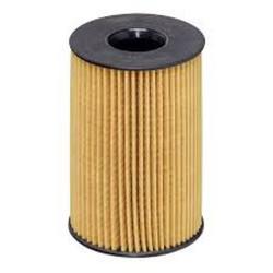 Bmw HENGST Yag Filtresi BM F06 F10 F12